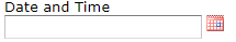 date_and_time_field_on_form.png