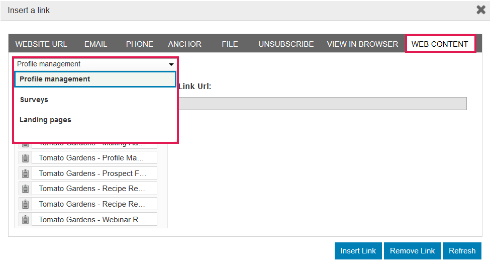 link_manager_web_content_tab.png