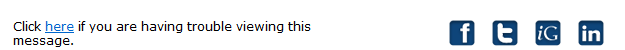 SocialCustomIconsEmail.png