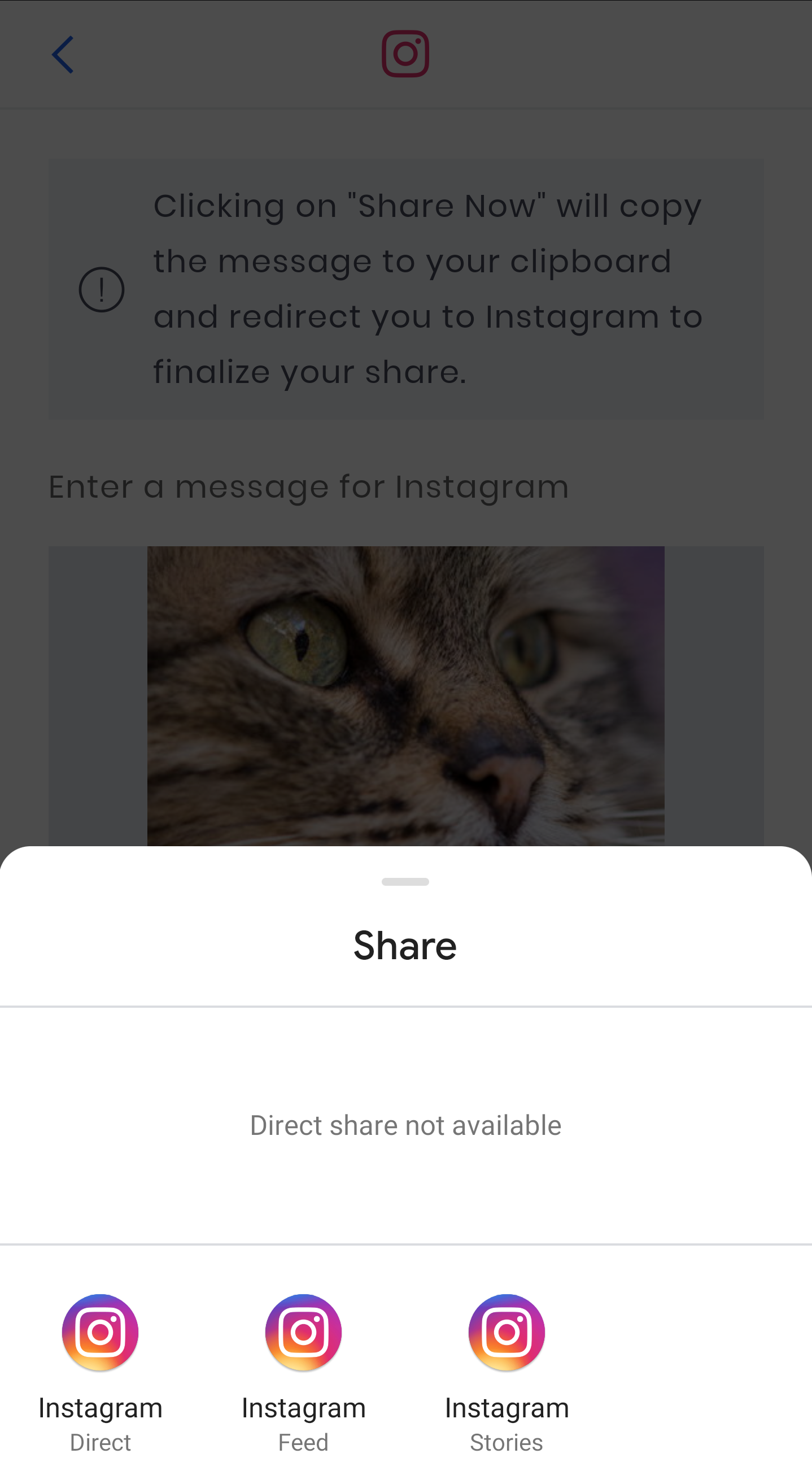 InstagramShare2.png