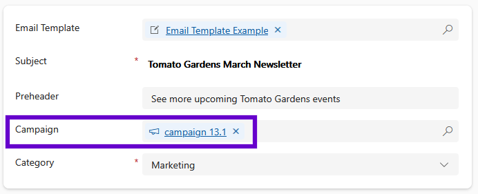 EmailSendCampaignField.png