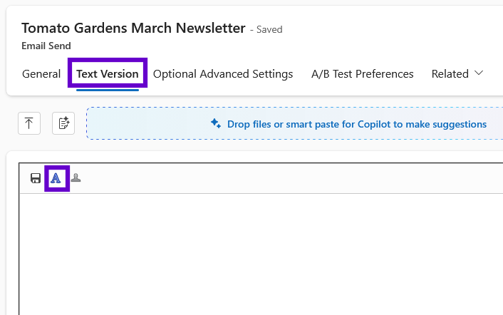 EmailSendTextVersionTab.png