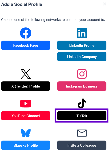 SocialProfilePanelTikTok.png